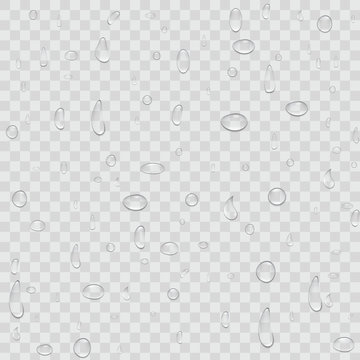 Creative vector illustration of pure clear water rain drops isolated on transparent background. Realistic clear vapor bubbles art design. Abstract concept graphic element