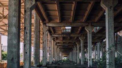 Abandoned concrete construction with columns like tunnel or corridor