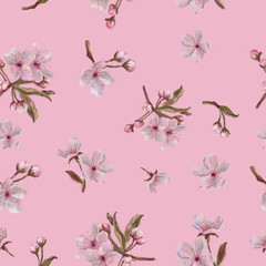 Pink Floral Seamless Pattern on Pink Background. Watercolor Painted Sakura Flowers Arranged in Seamless Pattern for Background, Print, and Textile.