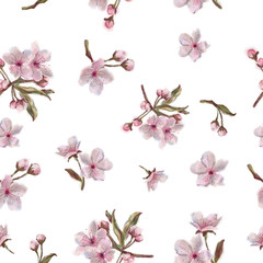 Pink Floral Seamless Pattern Isolated on White. Spring Fruit Tree Blossoms Arranged in Seamless Rapport for Background, Print, and Textile.