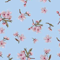 Sakura Blooms Seamless Pattern on Blue Background. Watercolor Hand painted Spring Blossoms Rapport in Vintage Style. Pink Flower Pattern on Blue for Background, Print, and Textile.