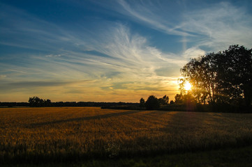 Fototapeta premium Sonnenuntergang bei Weiterstadt