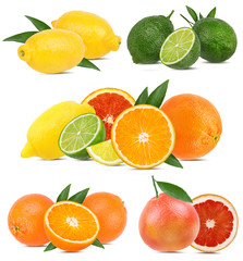 Collage of fresh citrus isolated on white background with clipping path