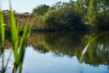 Obraz premium Surface on a small lake