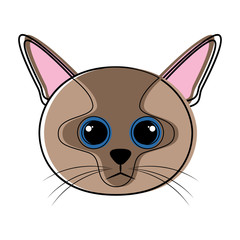 Cute cat avatar sketch