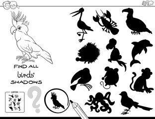 shadow educational game with birds color book