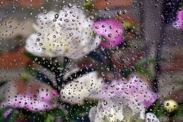 Raindrops on the glass and white peonies are blurred in the background. The concept of the summer rainy weather. Abstract background. © HENADZ