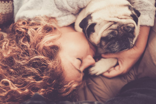 real true love between middle age beautiful woman caucasian sleeping and protect, her best friends dog pug. friendship and relationship at home in the life concept