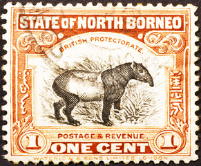 Tapir on old bornean postage stamp of 1909