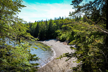 Atlantic coast in Maine