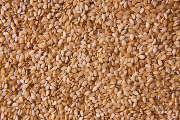 Sesame seeds background texture, close-up. View from above, horizontal 
