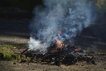 A small fire on the asphalt. Lighting of bonfires