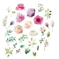 Beautiful, watercolor whimsical flowers. Violet, cream and white peonies, pink roses, leaves and branches, isolated on white