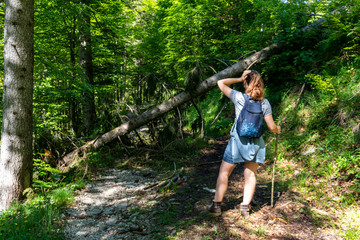 Naklejka na ściany i meble Frau beim Wandern in Bayern steht vor Baum Hindernis