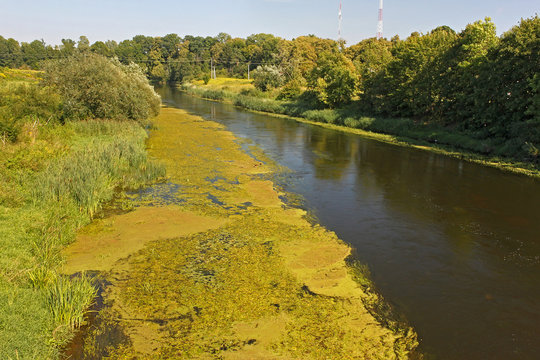 View of the Lyna (another name Lava) river in Pravdinsk (prior Friedland), Russia. The river in northern Poland as well as in Russia's Kaliningrad Oblast. The Lyna is a tributary of the Pregolya River