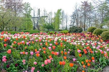 Parc Floral de Keukenhof aux Pays-Bas