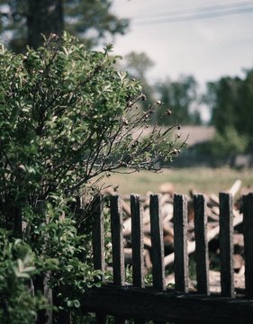 Processed with VSCO with j4 preset