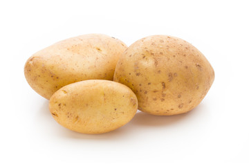 New potato isolated on the white background.
