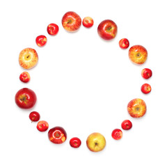 different an apples fruits in the shape of circle isolated on a white background