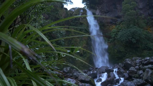 Flax in the foreground of a New Zealand waterfall