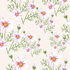 Seamless pattern with wildflowers on white background. Sunny clor flower vector field blossom.