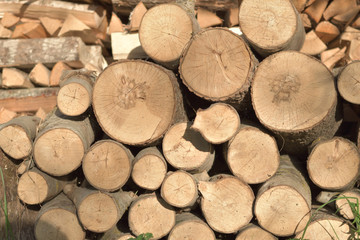 Wood pile near country house