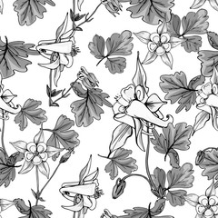 Seamless pattern with wildflowers on white background. Beautiful vector field blossom. White and black flowers monotone style.