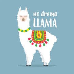 White llama with lettering. No drama llama. - obrazy, fototapety, plakaty