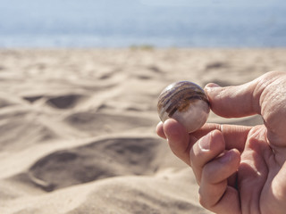 hand holding a stone onyx on the sea coast