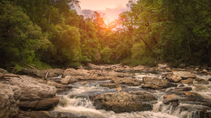 Beautiful sunset over peaceful river in a deep jungle