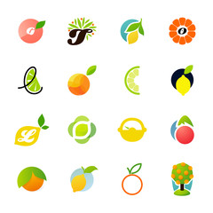 Citrus family - lemon, orange, lime, tangerine. Vector logo templates set. Elements for design