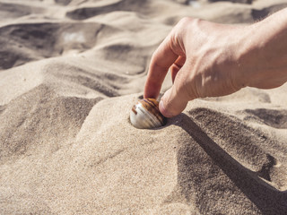hand finds rare multiple colors stone in sand on the beach