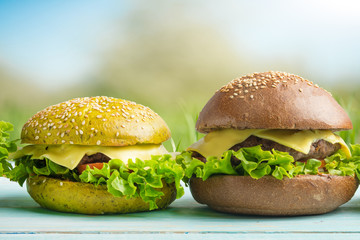 Burgers, under the warm sun, in the blossoming spring gardens. Picnic concept, summer and rest