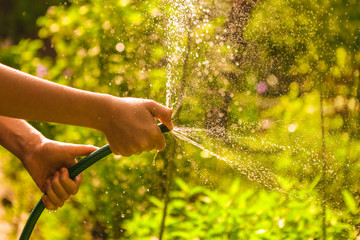 kid hands hold hose with squirting water on the summer sunny green garden background