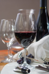 Professional red wine tasting event with high quality wine glasses and wine accessories