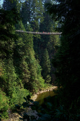 Capilano Suspension Bridge and Capilano River, North Vancouver, British Columbia, Canada