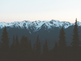 Hurricane Ridge