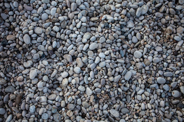 Small beach light pebble rocks floor. Different stones background texture in nature. Outdoors. Grid gravel with several shapes. Natural formations. Gray colored