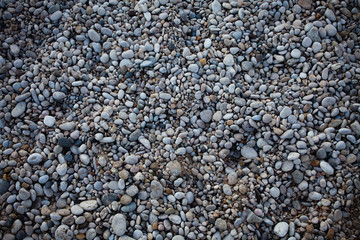 Small beach light pebble rocks floor. Different stones background texture in nature. Outdoors. Grid gravel with several shapes. Natural formations. Gray colored