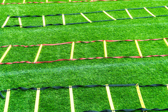 Agility ladders in different colours