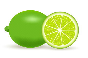  illustration of fresh lime isolated on white background.