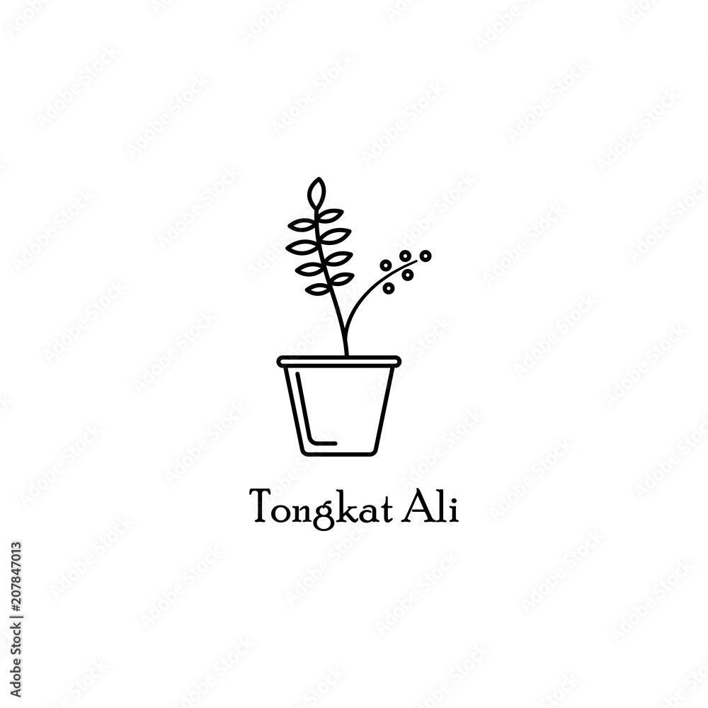 Poster tongat ali in pot outline icon. element of flower icon for mobile concept and web apps. thin line to