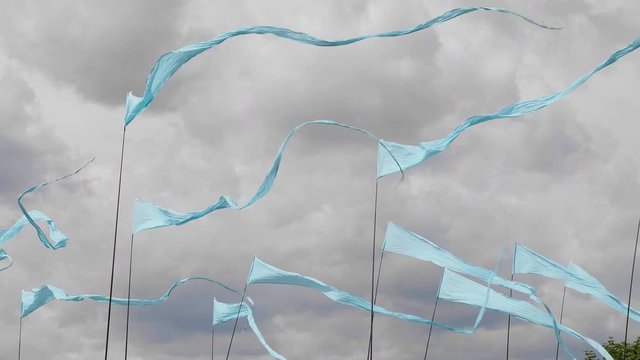 Blue flags fluttering in the wind, against a background of green grass.