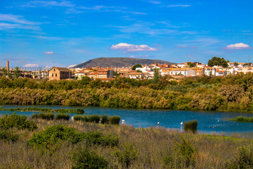 Flamingo. Flamingos on the lagoon &ldquo;Laguna de Fuente de Piedra&rdquo;. Fuente de Piedra, Malaga Province, Andalusia, Spain. Picture taken &ndash; 3 june 2018.