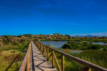 Fototapeta na wymiar Lagoon. “Laguna de Fuente de Piedra”. Fuente de Piedra, Malaga Province, Andalusia, Spain. Picture taken – 3 june 2018.