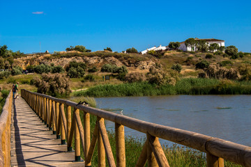 Fototapeta na wymiar Lagoon. “Laguna de Fuente de Piedra”. Fuente de Piedra, Malaga Province, Andalusia, Spain. Picture taken – 3 june 2018.