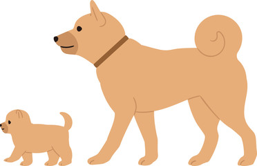 歩く子犬と親犬