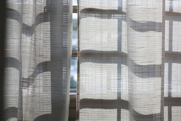 晴れ　窓　カーテン