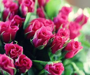 bouquet of pink roses