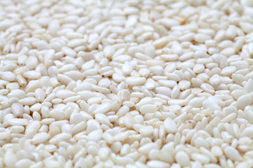 Macro of white sesame seeds